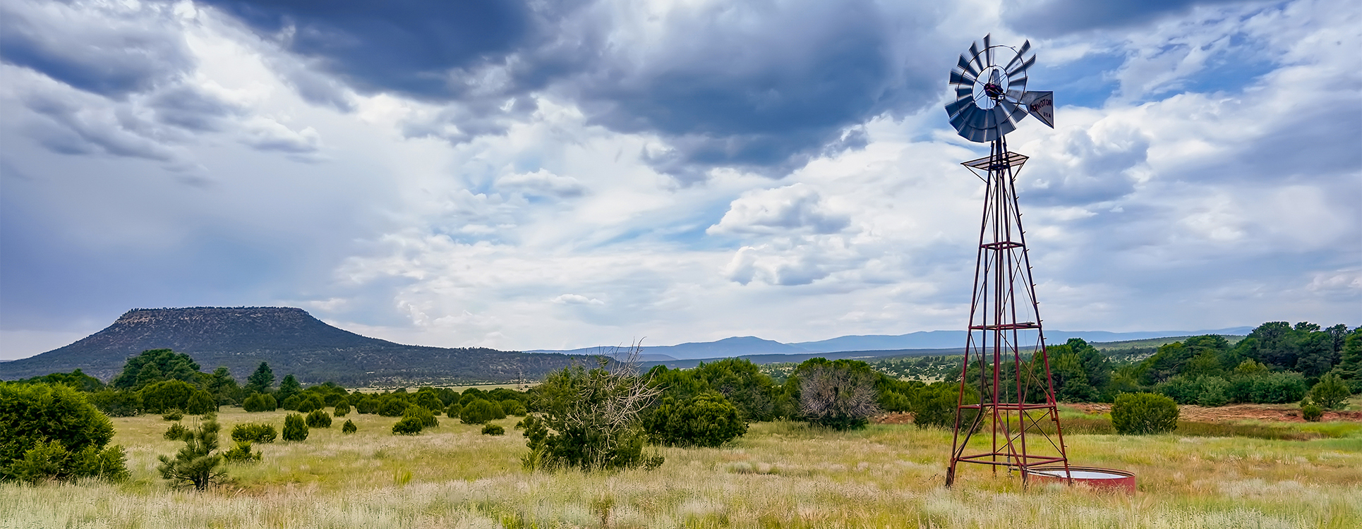 Shrubs, grasses, and beautiful hills outside of Santa Fe, NM